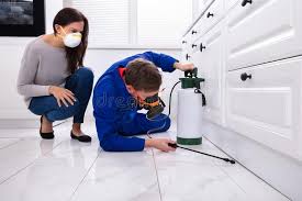 Real Estate Pest Inspections in London, OH